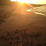 بيت شباب Sun And Sea *