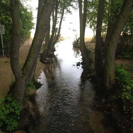 Sun And Sea * Danzig